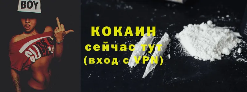 Cocaine Боливия  как найти наркотики  mega   Высоцк 