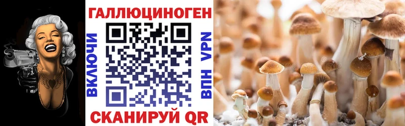 Галлюциногенные грибы ЛСД наркошоп hydra ССЫЛКА Высоцк